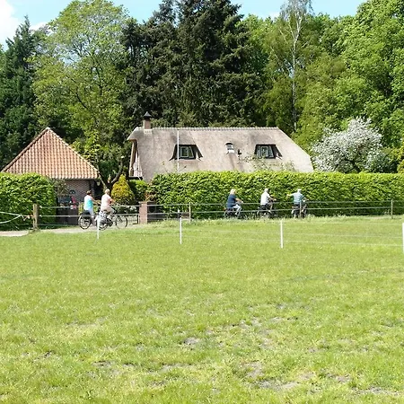 Bed&Breakfast De Haere-2